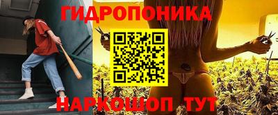 твердый Нальчик